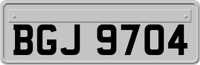 BGJ9704