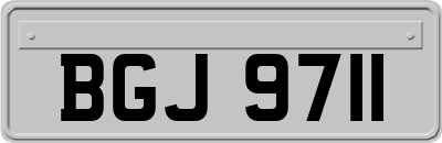 BGJ9711