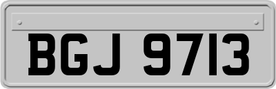 BGJ9713