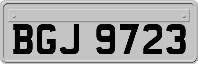 BGJ9723