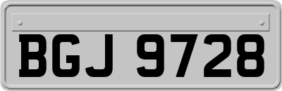BGJ9728