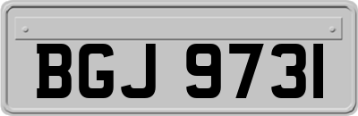 BGJ9731