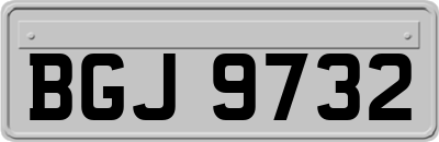 BGJ9732
