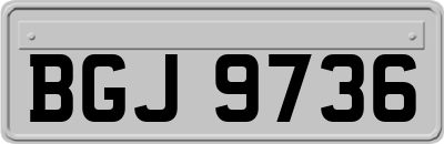 BGJ9736