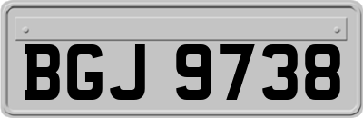 BGJ9738