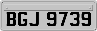 BGJ9739