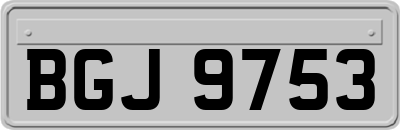 BGJ9753