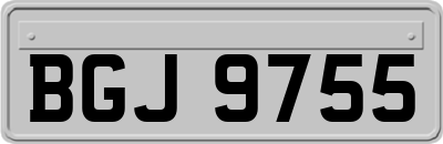BGJ9755