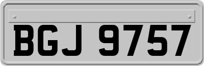 BGJ9757