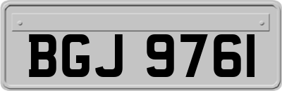 BGJ9761