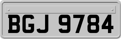 BGJ9784