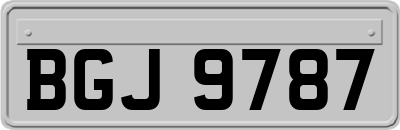 BGJ9787