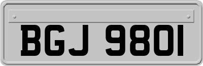 BGJ9801