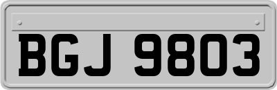 BGJ9803
