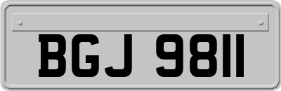 BGJ9811