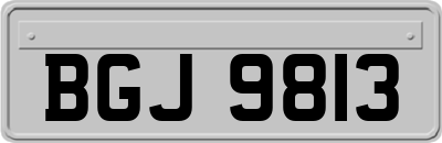 BGJ9813