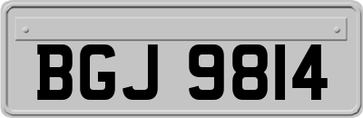BGJ9814