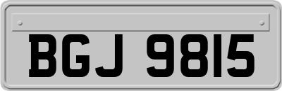BGJ9815