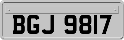 BGJ9817