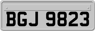 BGJ9823