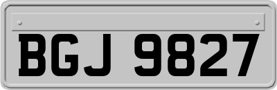 BGJ9827
