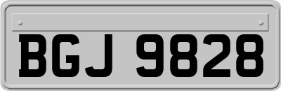 BGJ9828