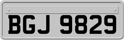 BGJ9829