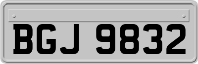 BGJ9832