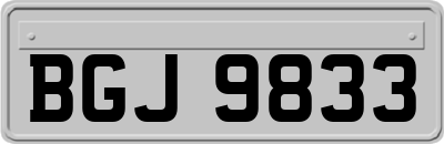 BGJ9833