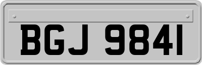 BGJ9841