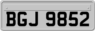 BGJ9852