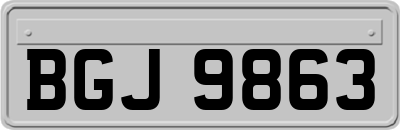BGJ9863
