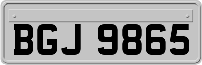 BGJ9865