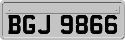 BGJ9866
