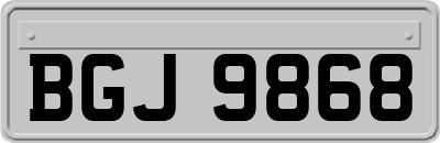 BGJ9868