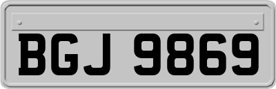 BGJ9869