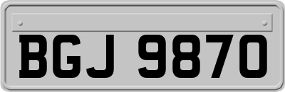 BGJ9870