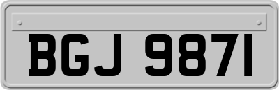 BGJ9871