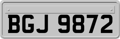BGJ9872