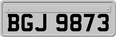 BGJ9873