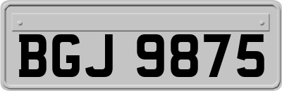 BGJ9875