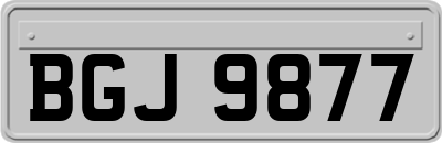 BGJ9877