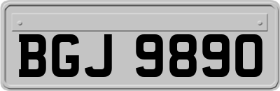 BGJ9890