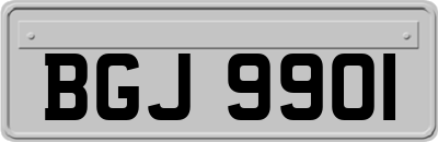 BGJ9901