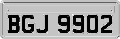 BGJ9902