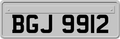 BGJ9912