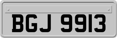 BGJ9913