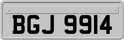 BGJ9914