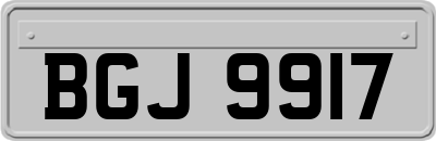 BGJ9917