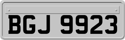BGJ9923